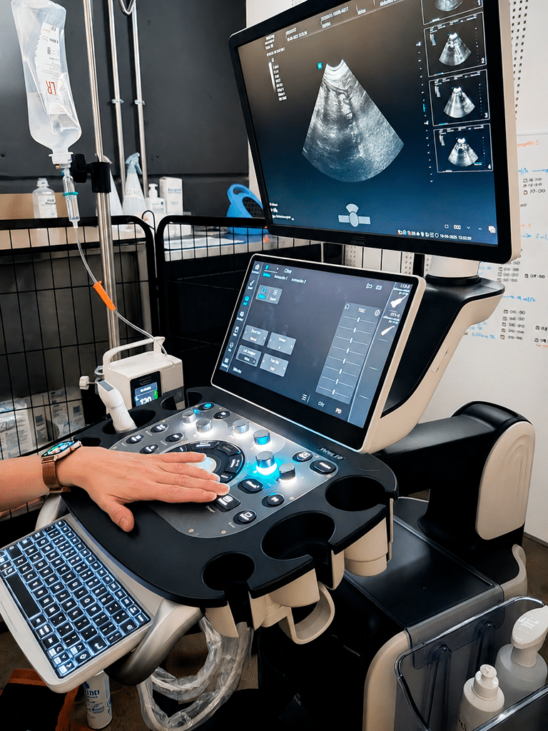 Diagnóstico por imagen dentro de un hospital veterinario 24h​