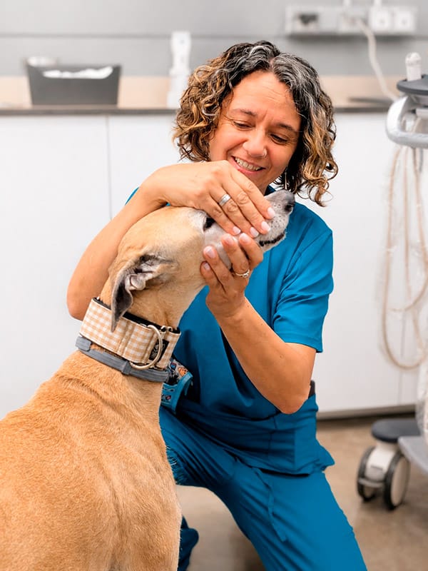 Radiología odontológica veterinaria en las rozas