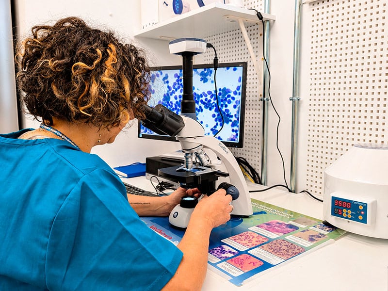 laboratorio veterinario y análisis clínicos en Las Rozas