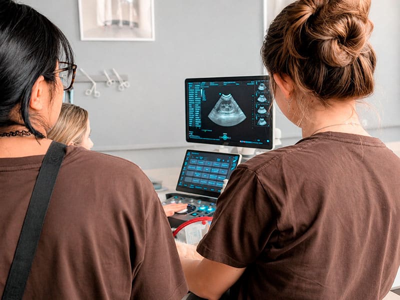 Pruebas de diagnóstico por imagen veterinario
