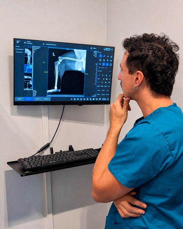radiografía veterinaria en las rozas