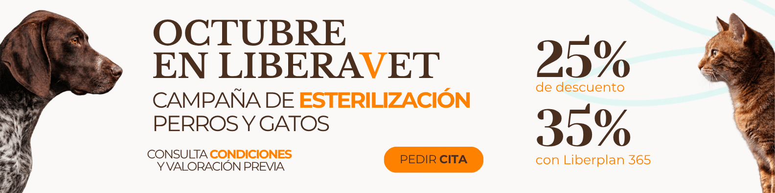 campaña esterilización perros y gatos en las rozas